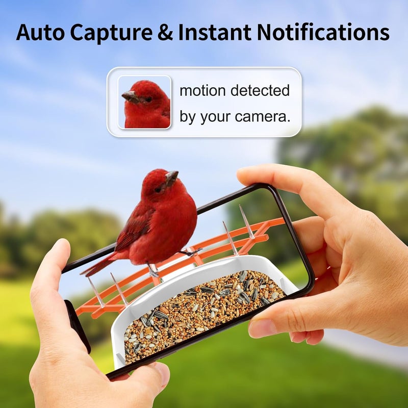 Gyozol Bird Feeder with Camera,Smart Bird Feeder Camera with Solar Powered,AI Identify Species,Birds Watching,Auto Record FHD 2K Feathered Visitor Video in Backyard,Ideal Gifts for Birds Lovers - Image 3